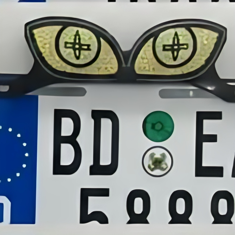 Universal LED Devil Eyes License Plate Light – Custom Decorative RGB Number Plate Frames for Motorcycles & Cars (Multiple Eye Designs)