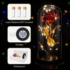 The Perfect Valentine’s Gift! Flower Rose LED light with Glass Dome Romantic, Perfect for Valentine's Day, Anniversary, Birthday, and Home Décor Random Design