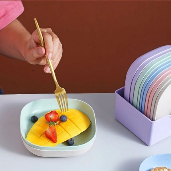 Combo Deal - 4 Section Spice Container Box &amp; Multi-function Spit Bone 10 Plate Set Kitchen Storage Organizer (Random color)