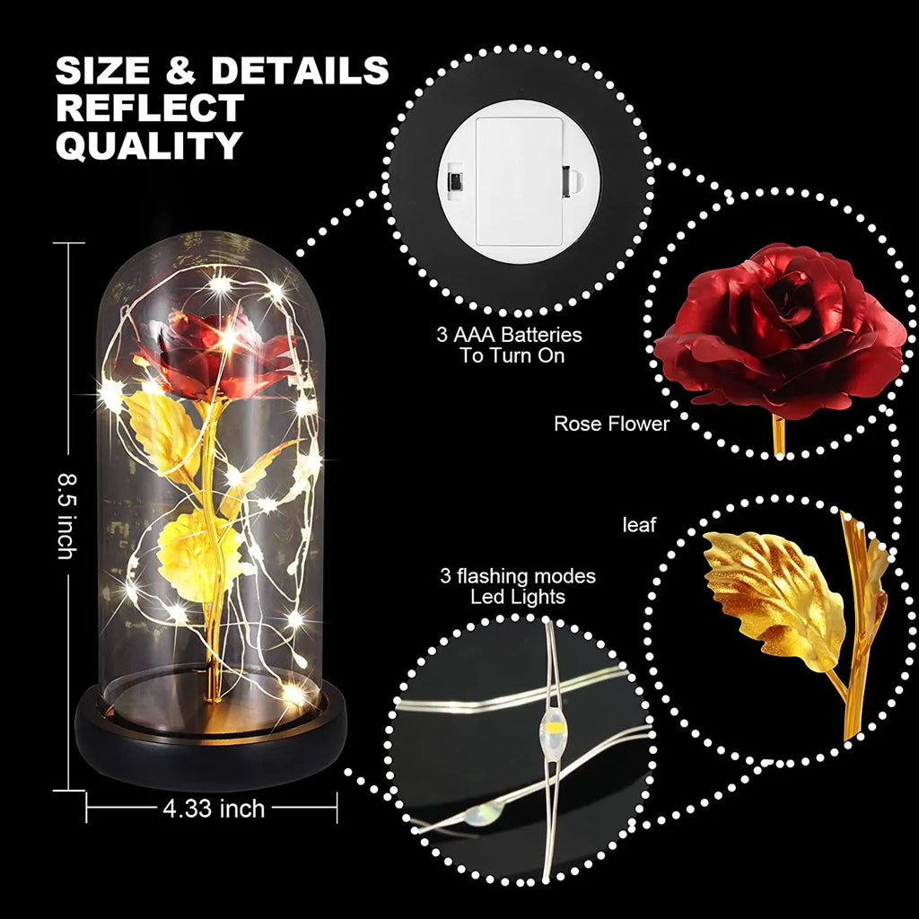 The Perfect Valentine’s Gift! Flower Rose LED light with Glass Dome Romantic, Perfect for Valentine's Day, Anniversary, Birthday, and Home Décor Random Design