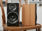 FT-2031 Subwoofer Pairs Speaker Premium Sound USB Powered for Laptop, Mobile & Computer - Set Of 2pc