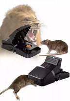 Durable Mouse Trap – Reusable Rodent Catcher For Home, Kitchen, And Office Use With Strong Spring Mechanism And Easy Setup