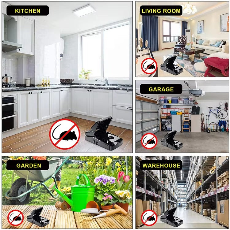 Durable Mouse Trap – Reusable Rodent Catcher For Home, Kitchen, And Office Use With Strong Spring Mechanism And Easy Setup