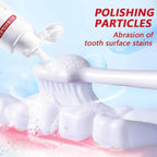 Yayashi Sp-4 Ultra Whitening Toothpaste Probiotic Stain Remover 100ml / Stain Removing Toothpaste, Protects Gums Freshens Breath, for Everyone