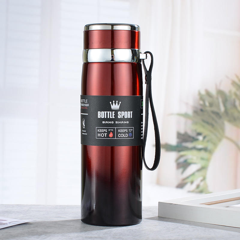 Vacuum Insulated Stainless Steel Sports Bottle with Integrated Carry Strap and Leak-Proof Lid ( RANDOM COLOUR )