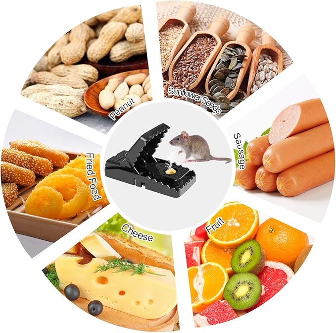 Heavy Duty Plastic Mouse Trap (Random color)