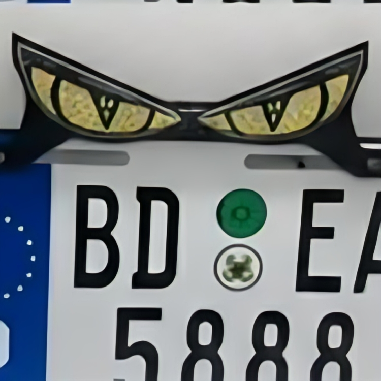 Universal LED Devil Eyes License Plate Light – Custom Decorative RGB Number Plate Frames for Motorcycles & Cars (Multiple Eye Designs)