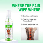 Aichun Beauty Joint Pain Relief Muscle Rapid Relief Spray Fast Absorbing Perfect Choice For Daily Care - 100ML