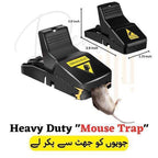 Heavy Duty Mouse Trap – High-Sensitivity Quick Catch Reusable Rat Traps for Home and Indoor Use