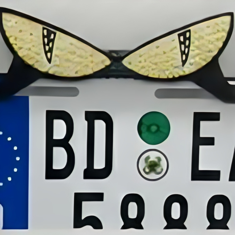 Universal LED Devil Eyes License Plate Light – Custom Decorative RGB Number Plate Frames for Motorcycles & Cars (Multiple Eye Designs)