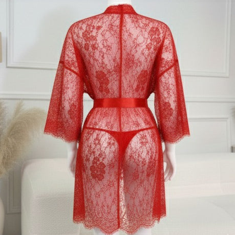 3 Piece Net Gown Set with Bra & Panty | Soft Lace Robe Lingerie | Free Size (fit upto 38 chest)