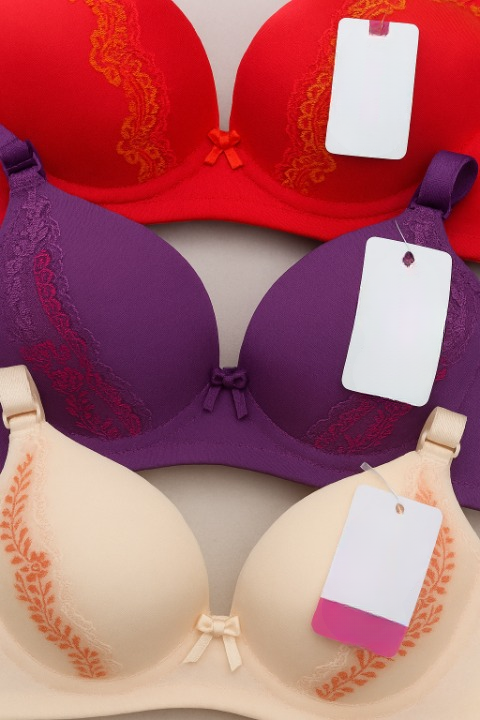 Silk Embroidered Padded Bra for Women – Luxury Undergarment with Soft Silk Fabric, Stylish Embroidery, Comfortable Fit &amp; Everyday Support (Random Color)
