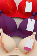 Silk Embroidered Padded Bra for Women – Luxury Undergarment with Soft Silk Fabric, Stylish Embroidery, Comfortable Fit &amp; Everyday Support (Random Color)