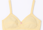 Cotton Sada Bra Pack of 3 – Mehroon, Black &amp; Skin Color | Comfortable 3 Hook Non-Padded Bra for Women