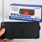 YUEGAN YG-1881BT Portable Digital Music Player with FM Radio, Bluetooth, USB &amp; TF