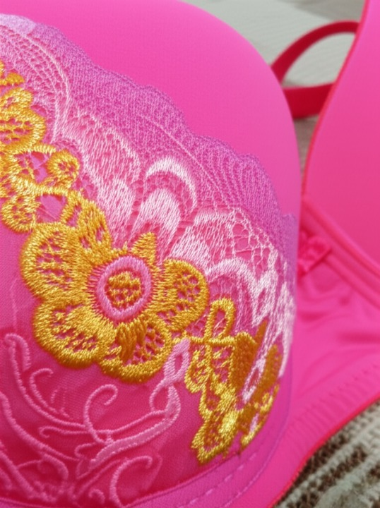 Silk Embroidered Padded Bra for Women – Luxury Undergarment with Soft Silk Fabric, Stylish Embroidery, Comfortable Fit &amp; Everyday Support (Random Color)