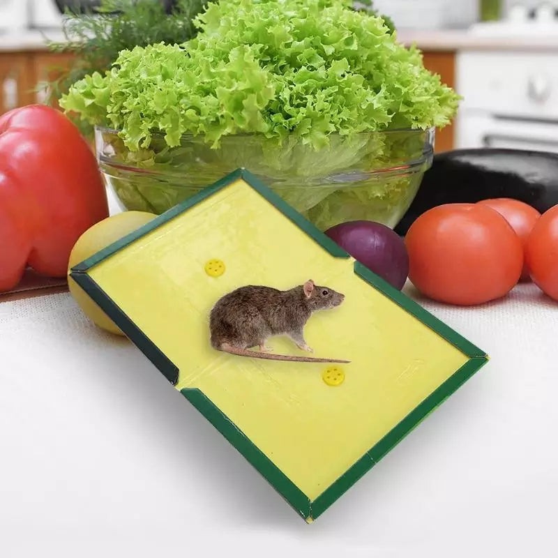 Reusable Expert Mouse &amp; Rat Glue Trap – Heavy Duty, Strong Adhesive, Pre-Baited, Non-Toxic, Odorless, Child-Safe Pest Control for Rodents, Insects, and Bugs