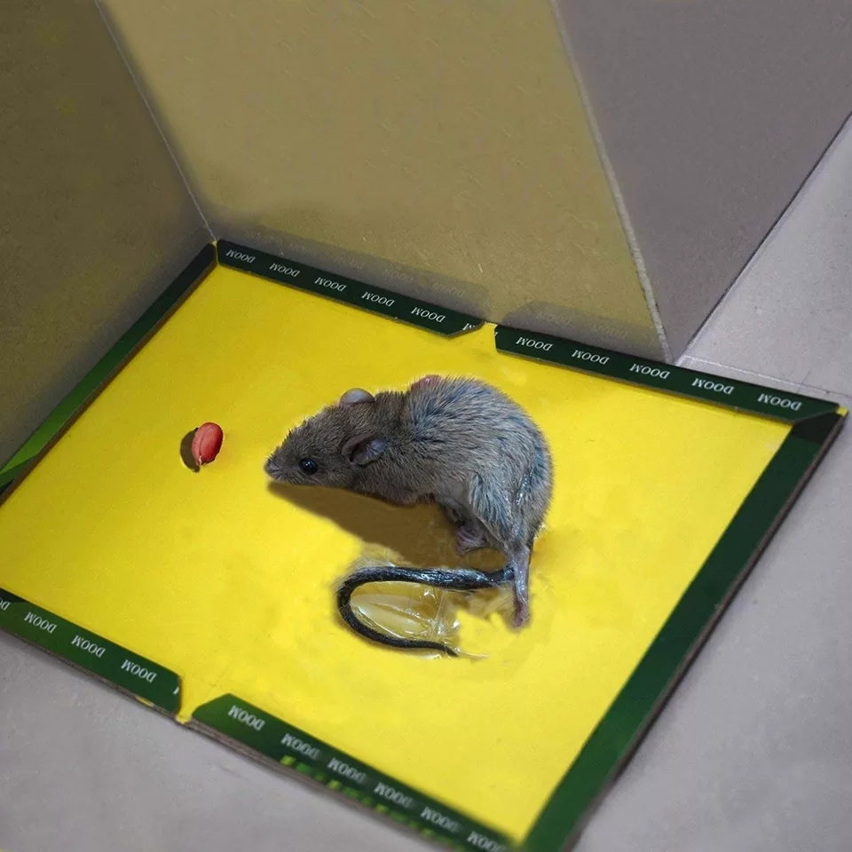 Reusable Expert Catch Mouse &amp; Rat Glue Catch Trap