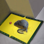 Reusable Expert Catch Mouse &amp; Rat Glue Catch Trap