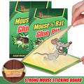 Reusable Expert Mouse &amp; Rat Glue Trap – Heavy Duty, Strong Adhesive, Pre-Baited, Non-Toxic, Odorless, Child-Safe Pest Control for Rodents, Insects, and Bugs