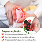 New Knee Plaster Sticker Wormwood Extract Knee Joint Ache Fast Pain Relieving Paster Knee Rheumatoid Arthritis Body Patches( 10 patches)