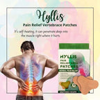 HYLLIS Pain Relief Patches - 10 Neck Pain Patches / Safe &amp; Natural Neck &amp; Back Pain Relief Products