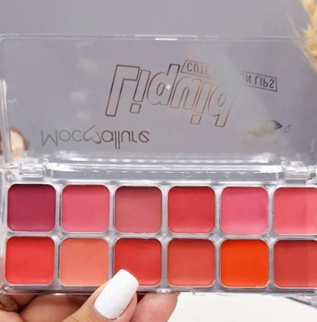 Mocallure Lipstick and Blush palette