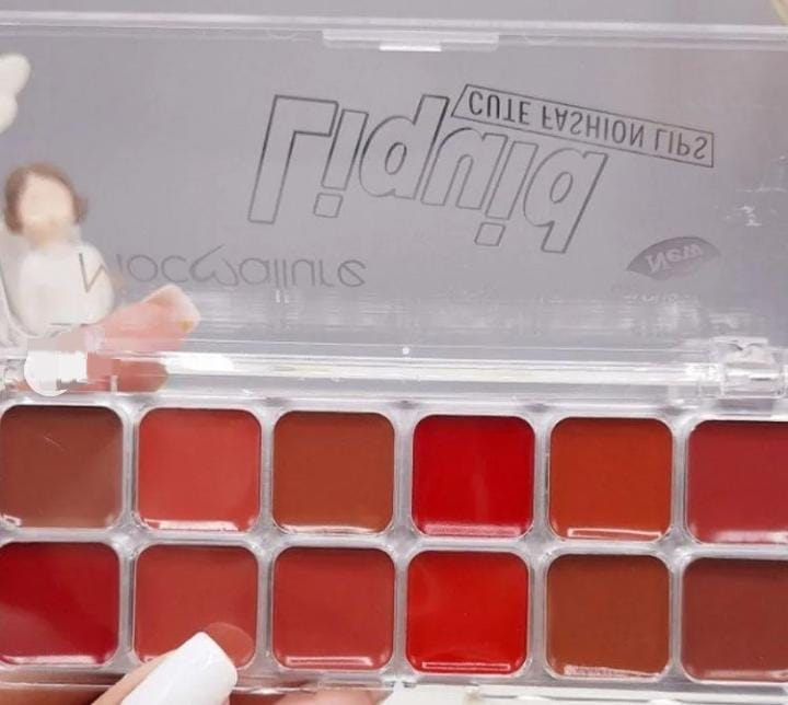 Mocallure Lipstick and Blush palette