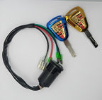 Ignition Switch with Computerized fancy Keys for 125cc bike new style two fancy computerize keys for all 125  bikes