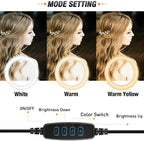 26CM LED Ring Light with Mobile Holder, 7ft Tripod Stand, 3 Light Colors, Dimmable USB Selfie Ring Light for Videography and Photography