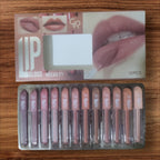 Velvet Matte Lip Gloss | High Pigment Lipgloss Set | Best Quality Lipgloss Set (Multi Shades)