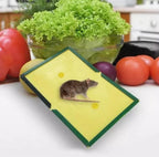 Mouse Glue Trap – Strong Adhesive Rat Glue Board &amp; Rodent Catcher Mat ( Pack of 5 )
