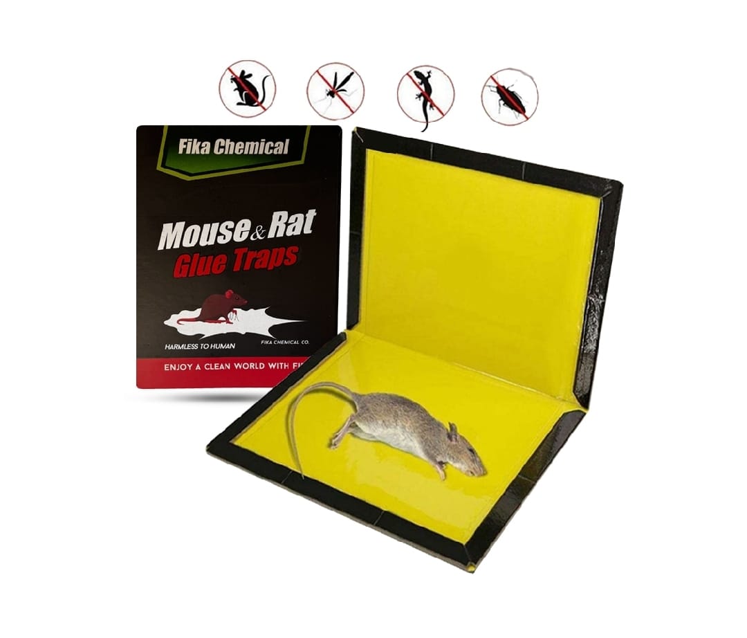 Mouse Glue Trap – Strong Adhesive Rat Glue Board &amp; Rodent Catcher Mat ( Pack of 5 )