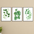Set of 3 Premium Wall Art Photo Tiles – Modern Home Decor Sets 8x11