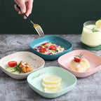 10pcs Kitchen Plate & Dumpling Maker Set – Food Grade, Multi-Use, Random Colors