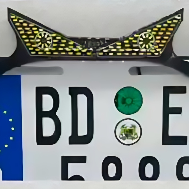 Universal LED Devil Eyes License Plate Light – Custom Decorative RGB Number Plate Frames for Motorcycles & Cars (Multiple Eye Designs)