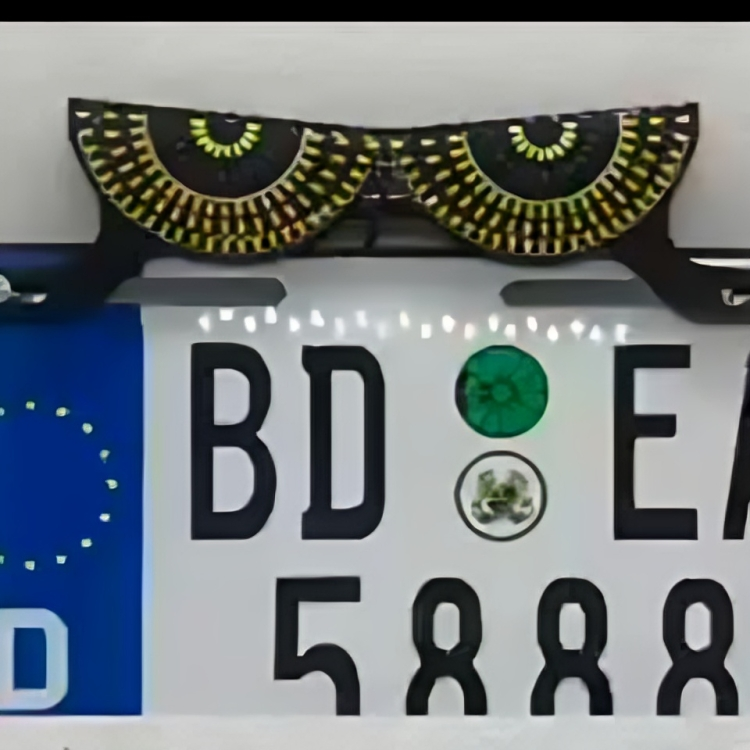 Universal LED Devil Eyes License Plate Light – Custom Decorative RGB Number Plate Frames for Motorcycles & Cars (Multiple Eye Designs)