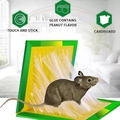 Mouse Glue Trap – Strong Adhesive Rat Glue Board &amp; Rodent Catcher Mat ( Pack of 5 )
