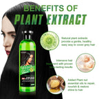 Lichen Professional Hair Color Gel – 500ML – Rich, Long-Lasting Black &amp; Dark Brown Shades – Made in China