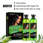 Lichen Professional Hair Color Gel – 500ML – Rich, Long-Lasting Black &amp; Dark Brown Shades – Made in China